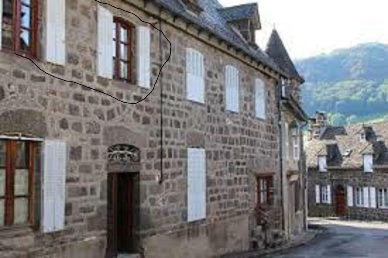 Gite De L Aspre Fontanges Exterior foto